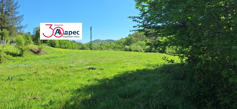 Продаја  Плот регион Велико Тарново , Елена , 8000 м2 | 91736443 - слика [7]