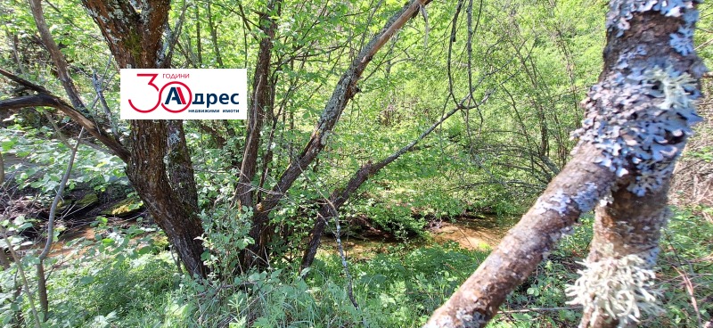 Продаја  Плот регион Велико Тарново , Елена , 8000 м2 | 91736443 - слика [2]