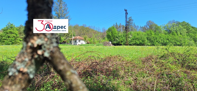 Продаја  Плот регион Велико Тарново , Елена , 8000 м2 | 91736443