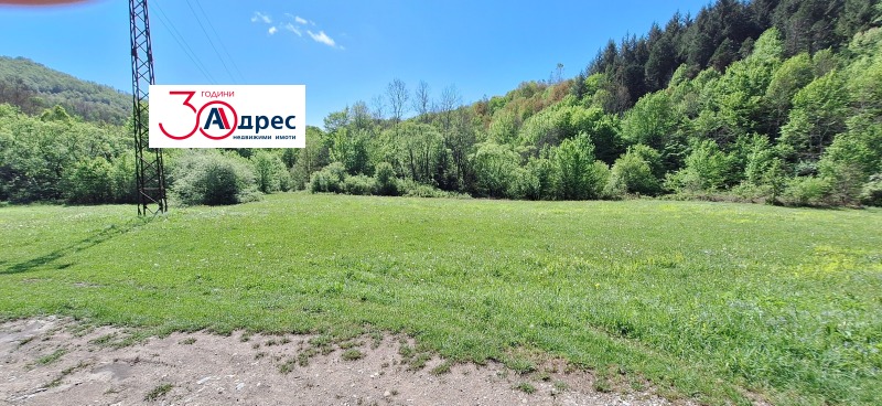 Продаја  Плот регион Велико Тарново , Елена , 8000 м2 | 91736443 - слика [3]