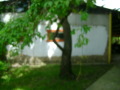 Продава КЪЩА, област Шумен, гр. Плиска • 153000 лв. • 12254627 — Holmes.bg
