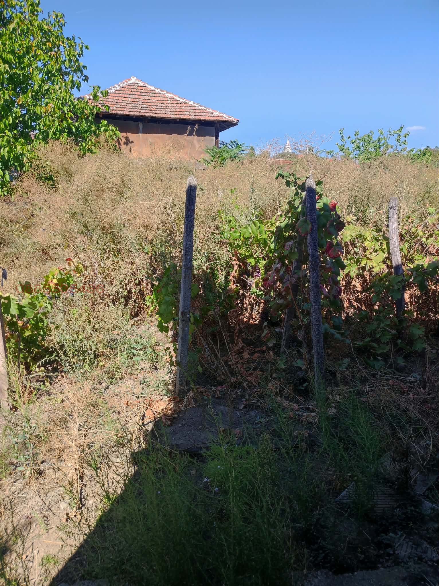 ������� ���� | Imot.bg � ����������� 16