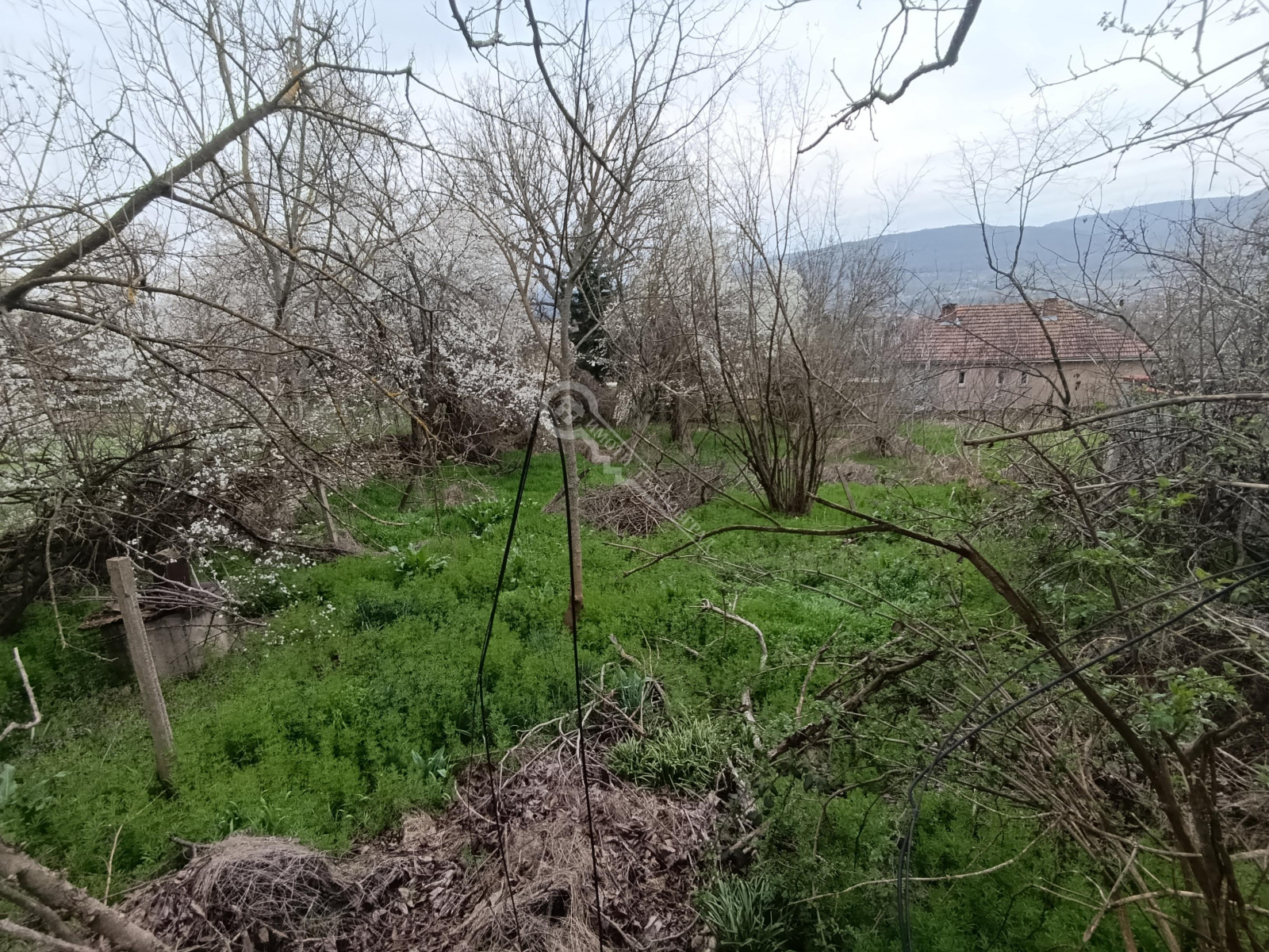 ������� ������ | Imot.bg � ����������� 2