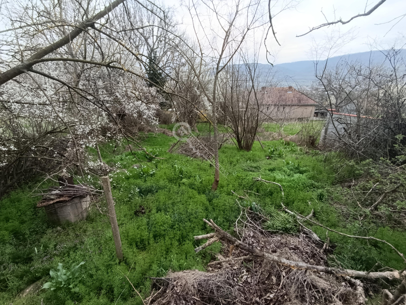 Продава ПАРЦЕЛ, с. Леденик, област Велико Търново