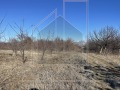 Продава ПАРЦЕЛ, област Пловдив, с. Брестник • 157650 € / 308336.60 лв. • 81395822 1
