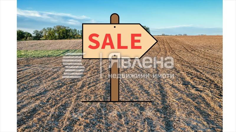 ������� ������ | Imot.bg � ����������� 1