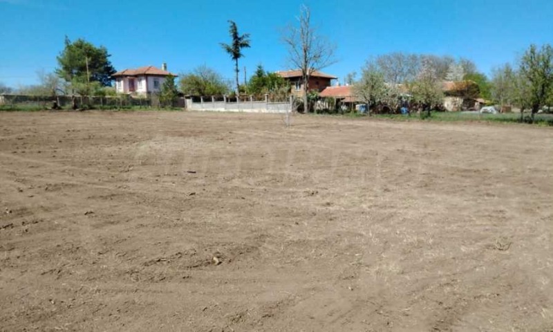 For Sale  Plot region Varna , Provadiya , 2390 sq.m | 63075527 - image [3]