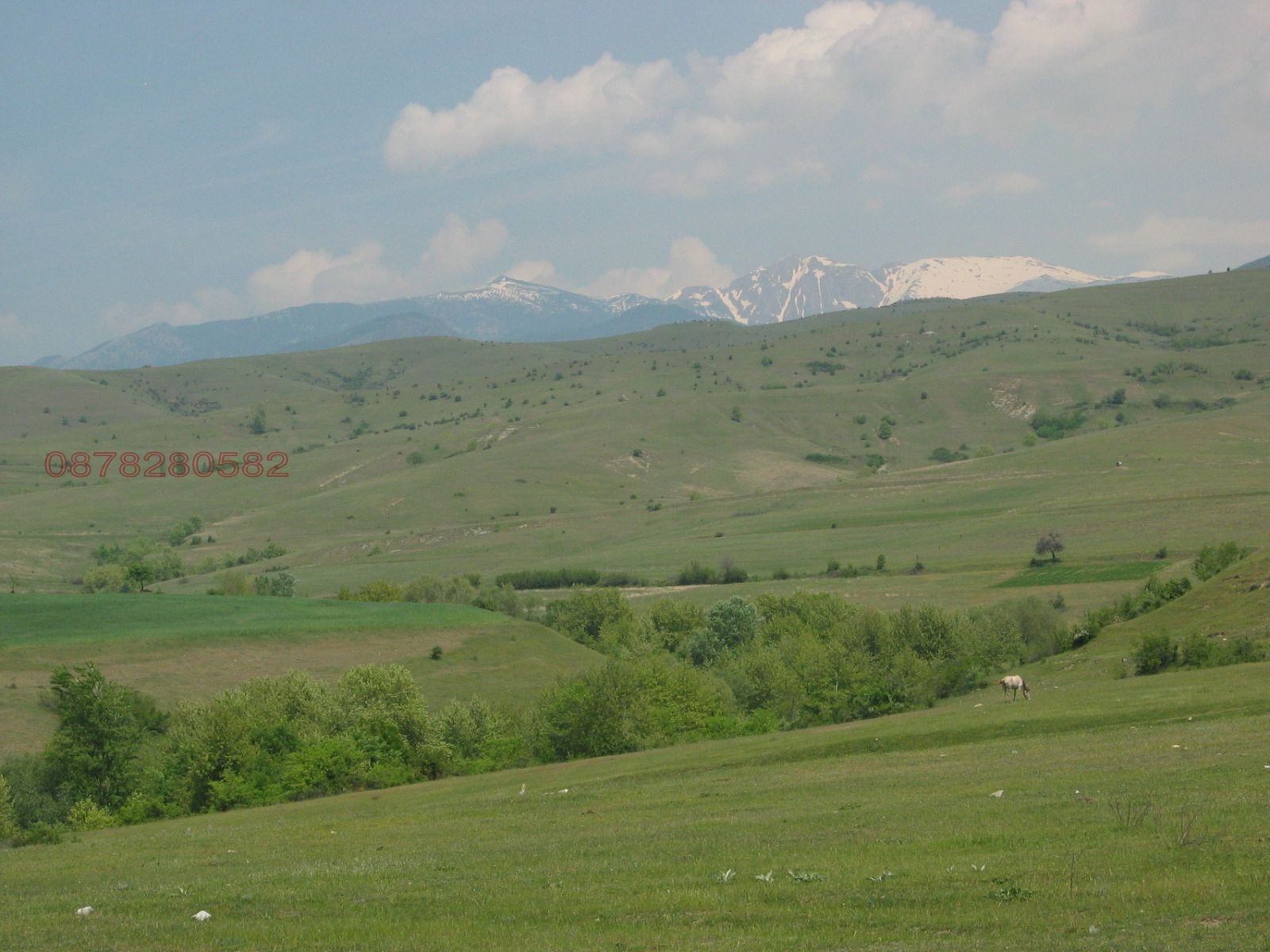 ������� ������ | Imot.bg � ����������� 7