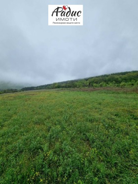 ����� ������� ������,�. ������, ������ ����� ������>