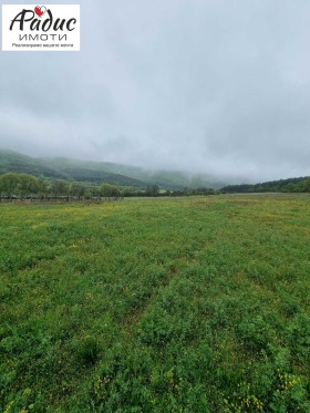 ����� ������� ������,�. ������, ������ ����� ������