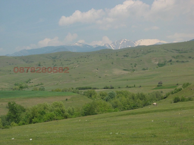 Продава ПАРЦЕЛ, с. Ласкарево, област Благоевград, снимка 7 - Парцели - 53366057