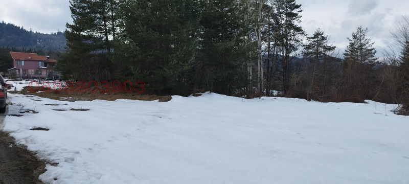 Продава ПАРЦЕЛ, м-т Цигов чарк, област Пазарджик, снимка 2 - Парцели - 52785764