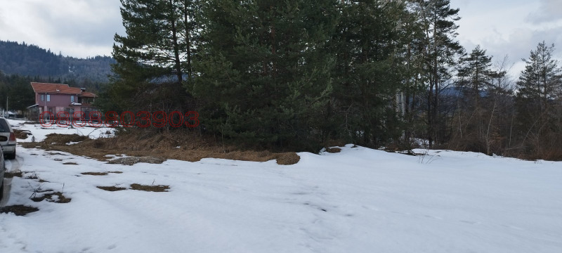 Продава ПАРЦЕЛ, м-т Цигов чарк, област Пазарджик, снимка 6 - Парцели - 52785764