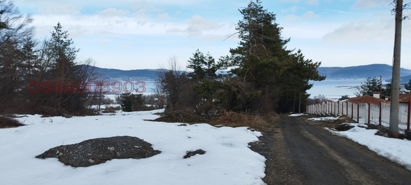 Продава ПАРЦЕЛ, м-т Цигов чарк, област Пазарджик, снимка 7 - Парцели - 52785764