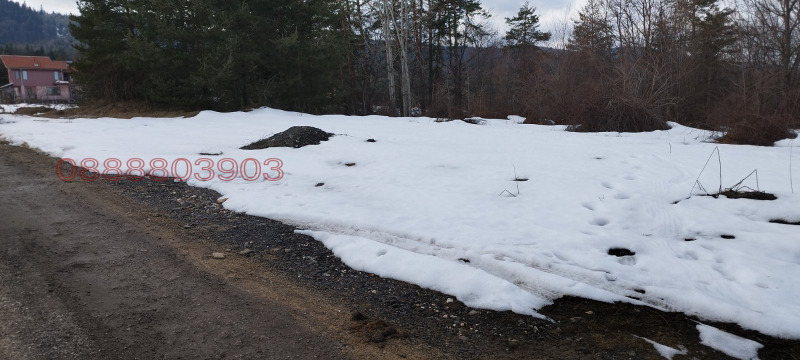 Продава ПАРЦЕЛ, м-т Цигов чарк, област Пазарджик, снимка 3 - Парцели - 52785764