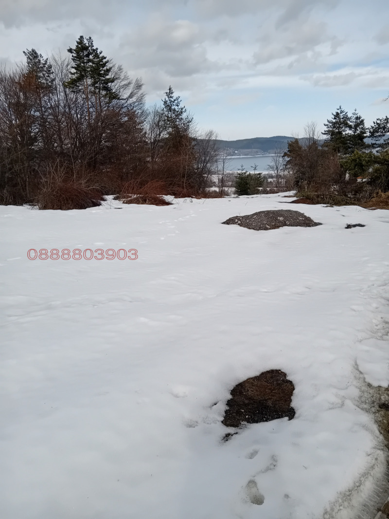 Продава ПАРЦЕЛ, м-т Цигов чарк, област Пазарджик, снимка 13 - Парцели - 52785764