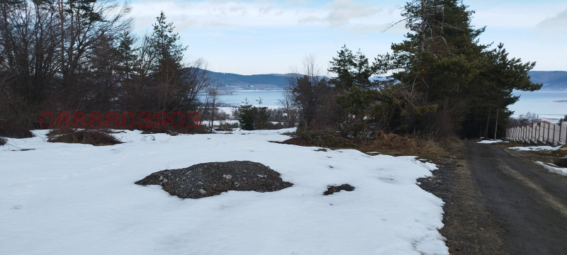 Продава ПАРЦЕЛ, м-т Цигов чарк, област Пазарджик, снимка 4 - Парцели - 52785764