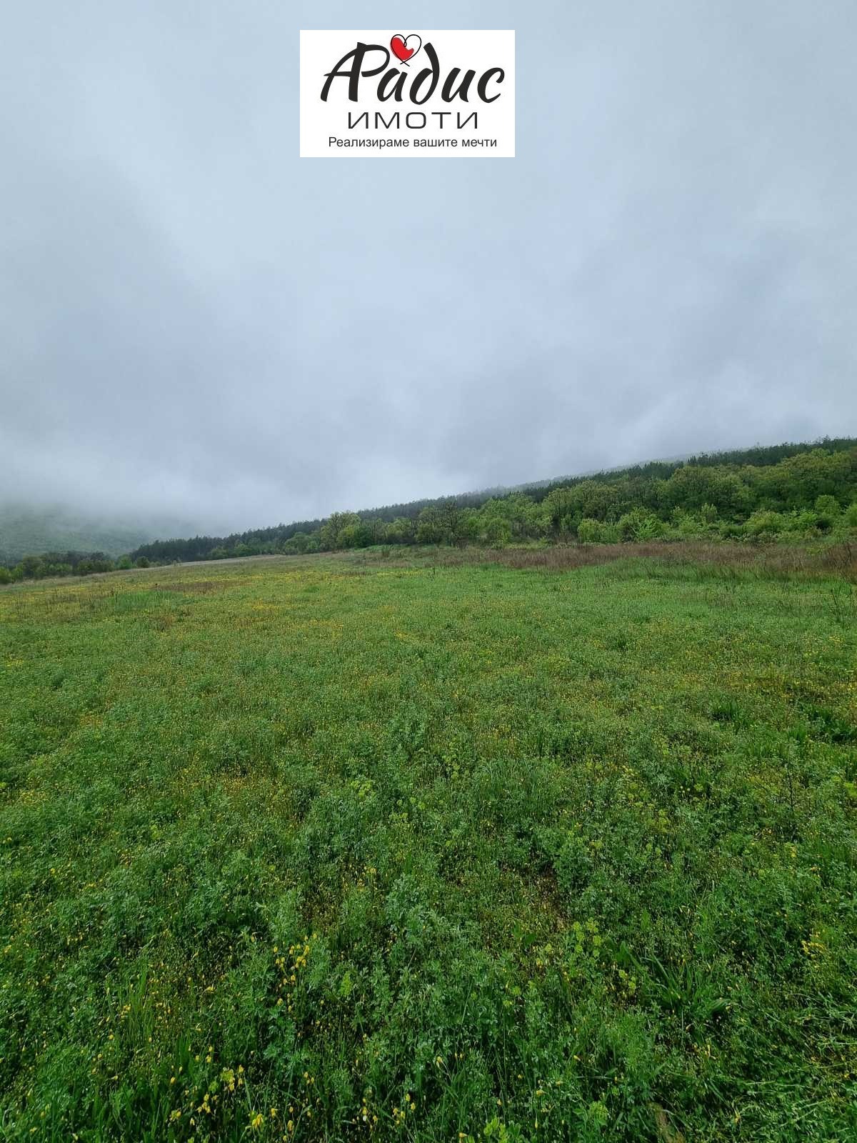 Продава ПАРЦЕЛ, с. Колена, област Стара Загора, снимка 4 - Парцели - 54277820