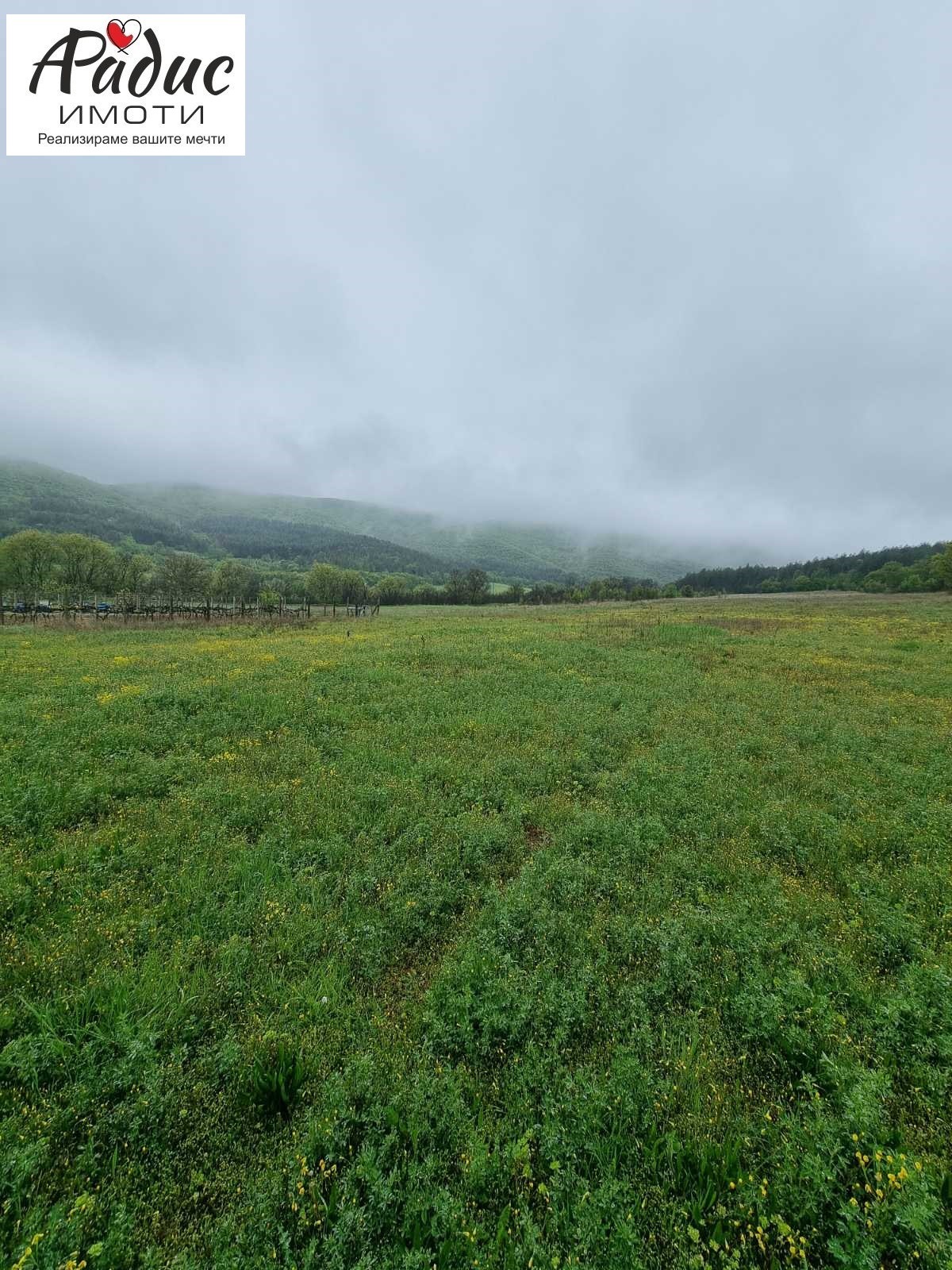 Продава ПАРЦЕЛ, с. Колена, област Стара Загора, снимка 2 - Парцели - 54277820