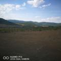 Продава ПАРЦЕЛ, с. Малка Верея, област Стара Загора, снимка 3