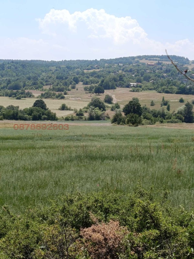 Til salgs  Plott region Sofia , Vakarel , 1500 kvm | 20698611 - bilde [5]