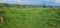Продава ПАРЦЕЛ, с. Старосел, област Пловдив, снимка 8