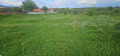 Продава ПАРЦЕЛ, с. Старосел, област Пловдив, снимка 5