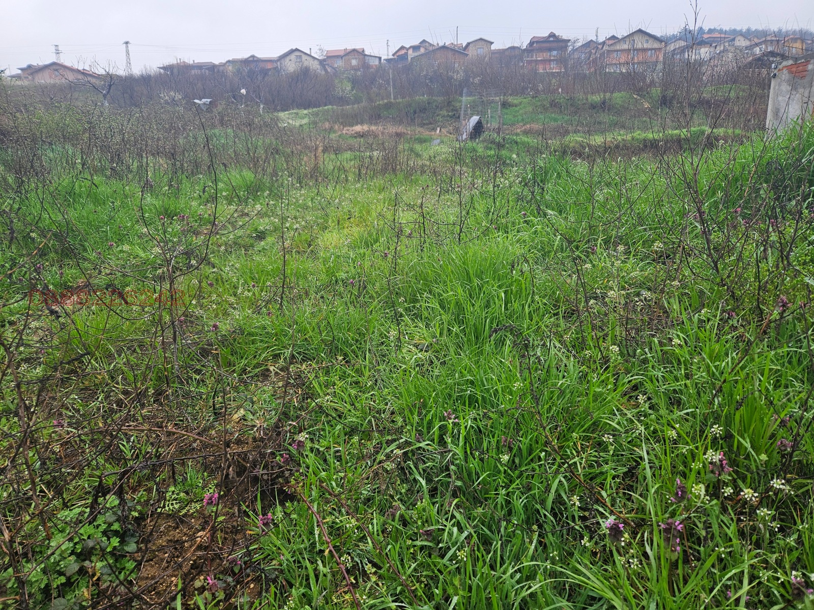 ������� ������ | Imot.bg � ����������� 2