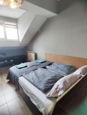 2 slaapkamers Tsentar, Sofia 6