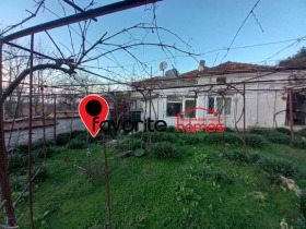 ������ ������� ����