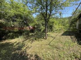 ������ ������� ������