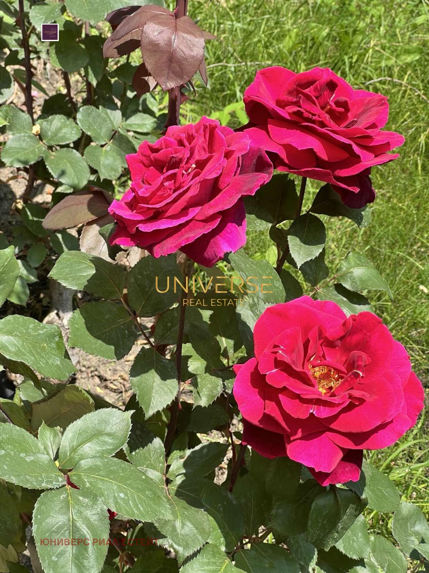 ������� 2-����� | Imot.bg � ����������� 16