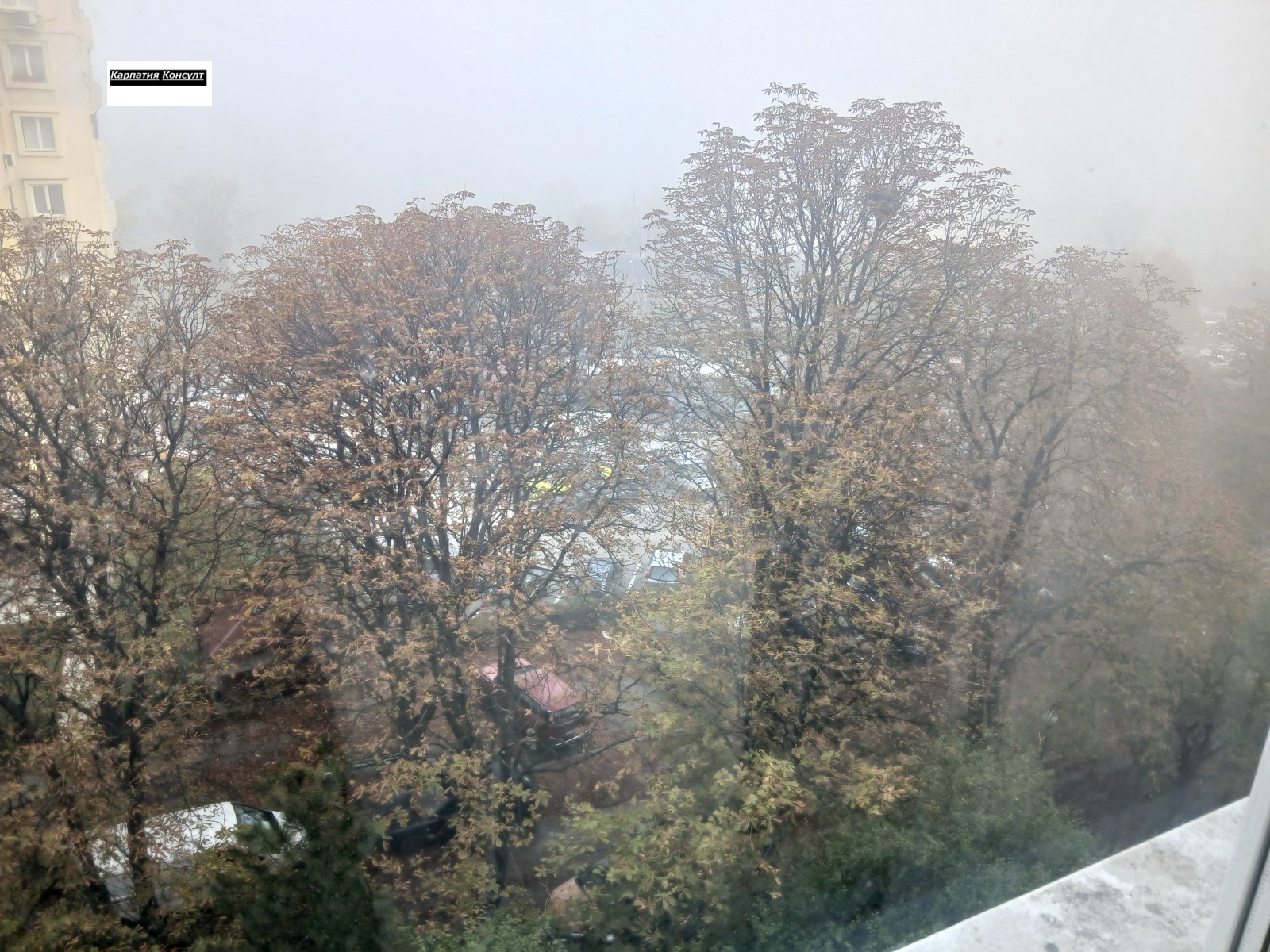 ������� 3-����� | Imot.bg � ����������� 14