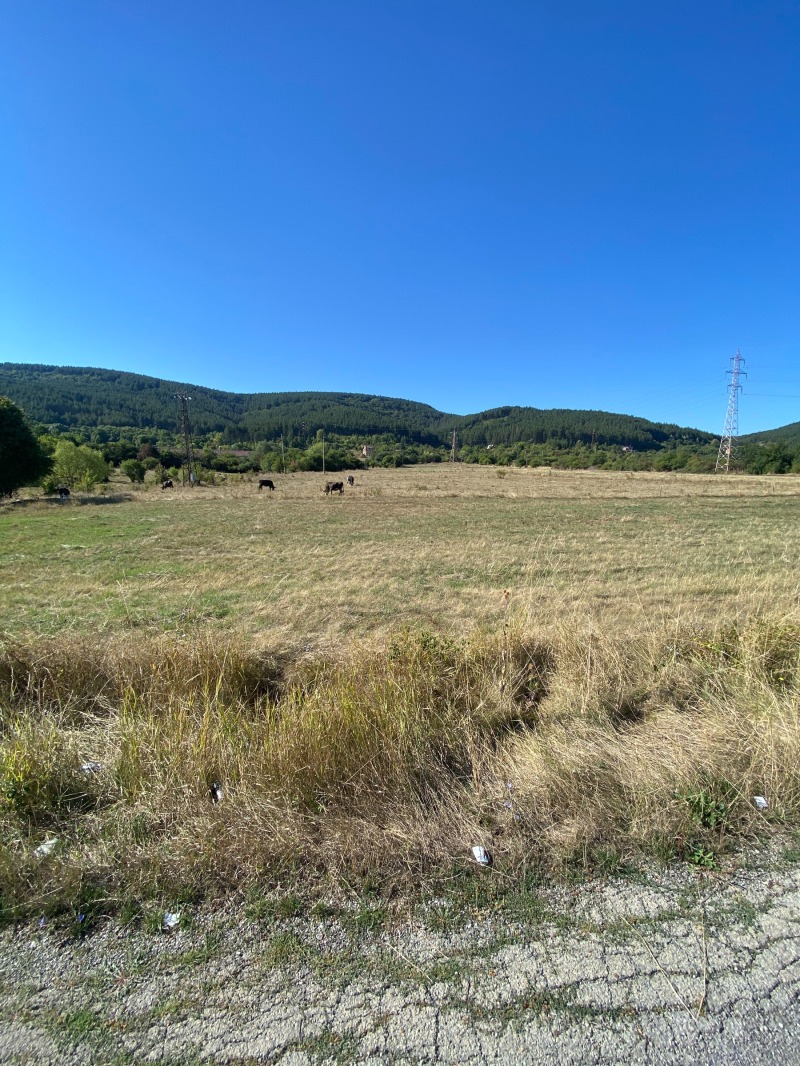 For Sale  Plot Pernik , Kalkas , 1130 sq.m | 48498028 - image [4]