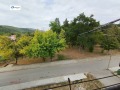 Продава 2-СТАЕН, област Габрово, с. Царева ливада • 48000 лв. • 16484156 — Holmes.bg