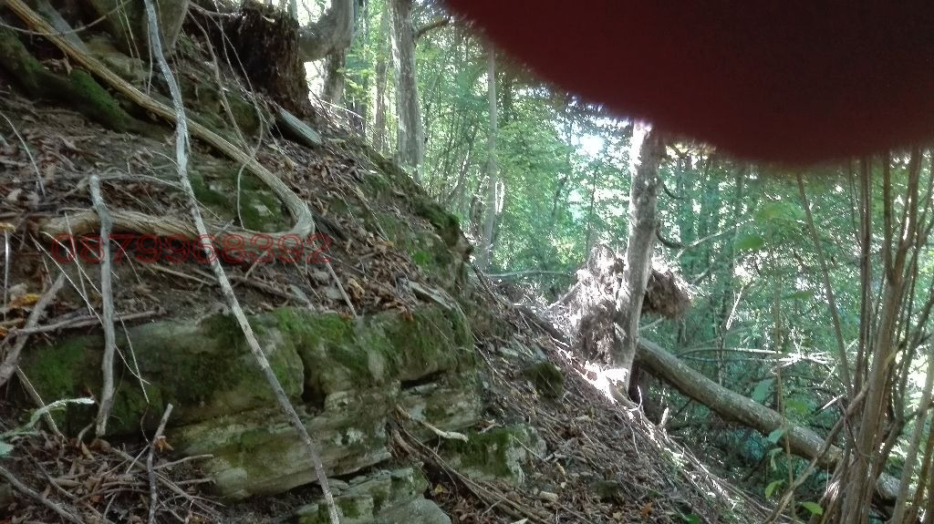 ������� ������ | Imot.bg � ����������� 3