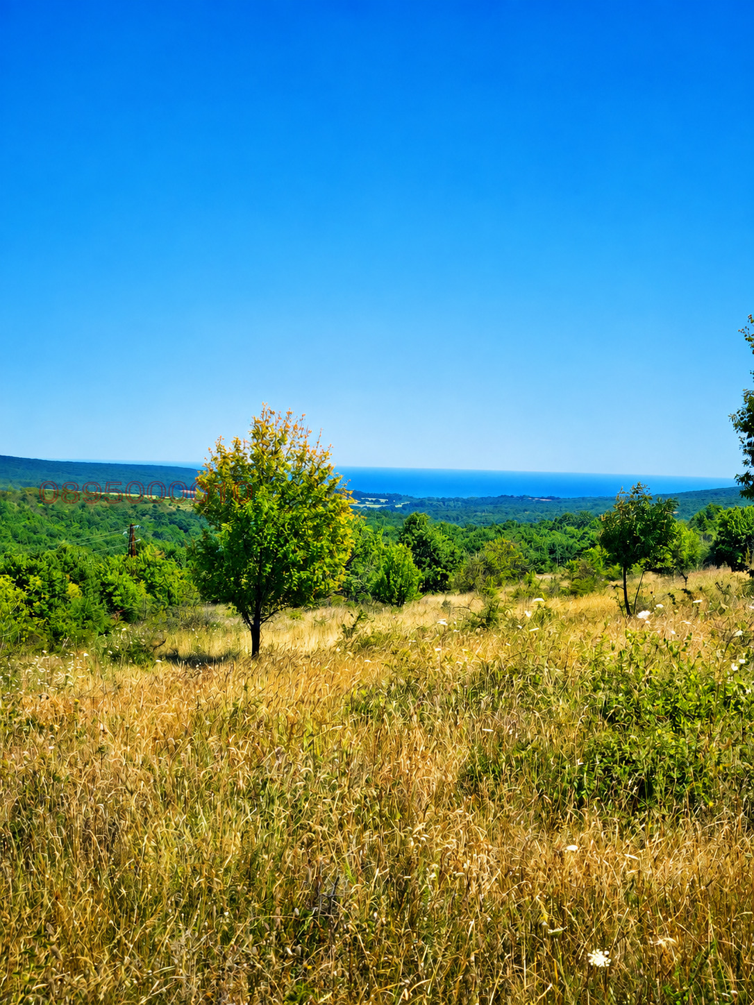 ������� ������ | Imot.bg � ����������� 4