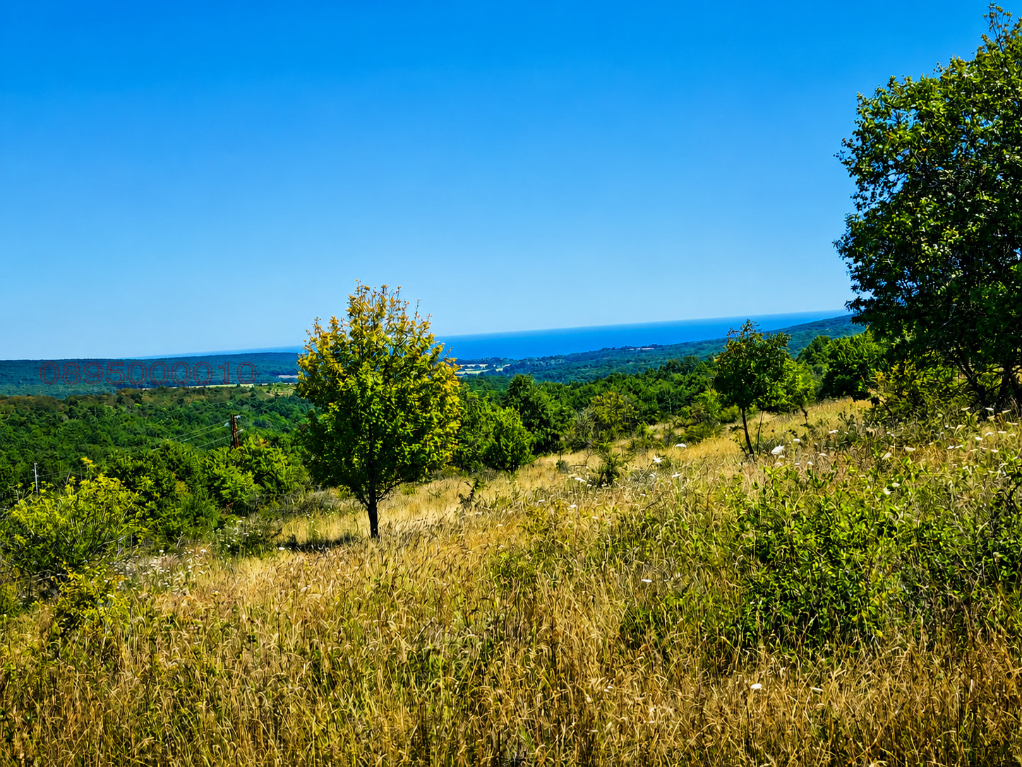������� ������ | Imot.bg � ����������� 1