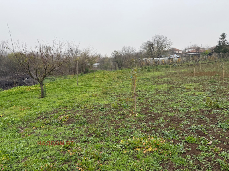 Продава КЪЩА, с. Драгижево, област Велико Търново, снимка 2 - Къщи - 52642851