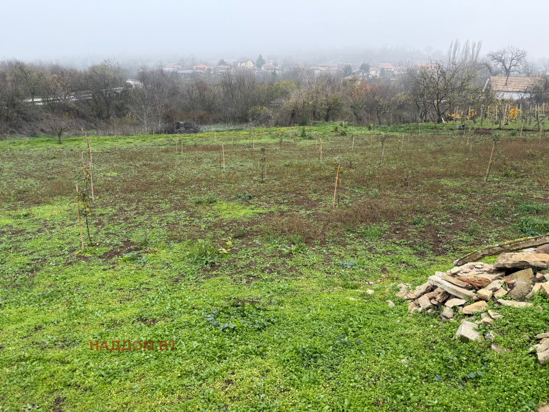 Продава КЪЩА, с. Драгижево, област Велико Търново, снимка 4 - Къщи - 52642851