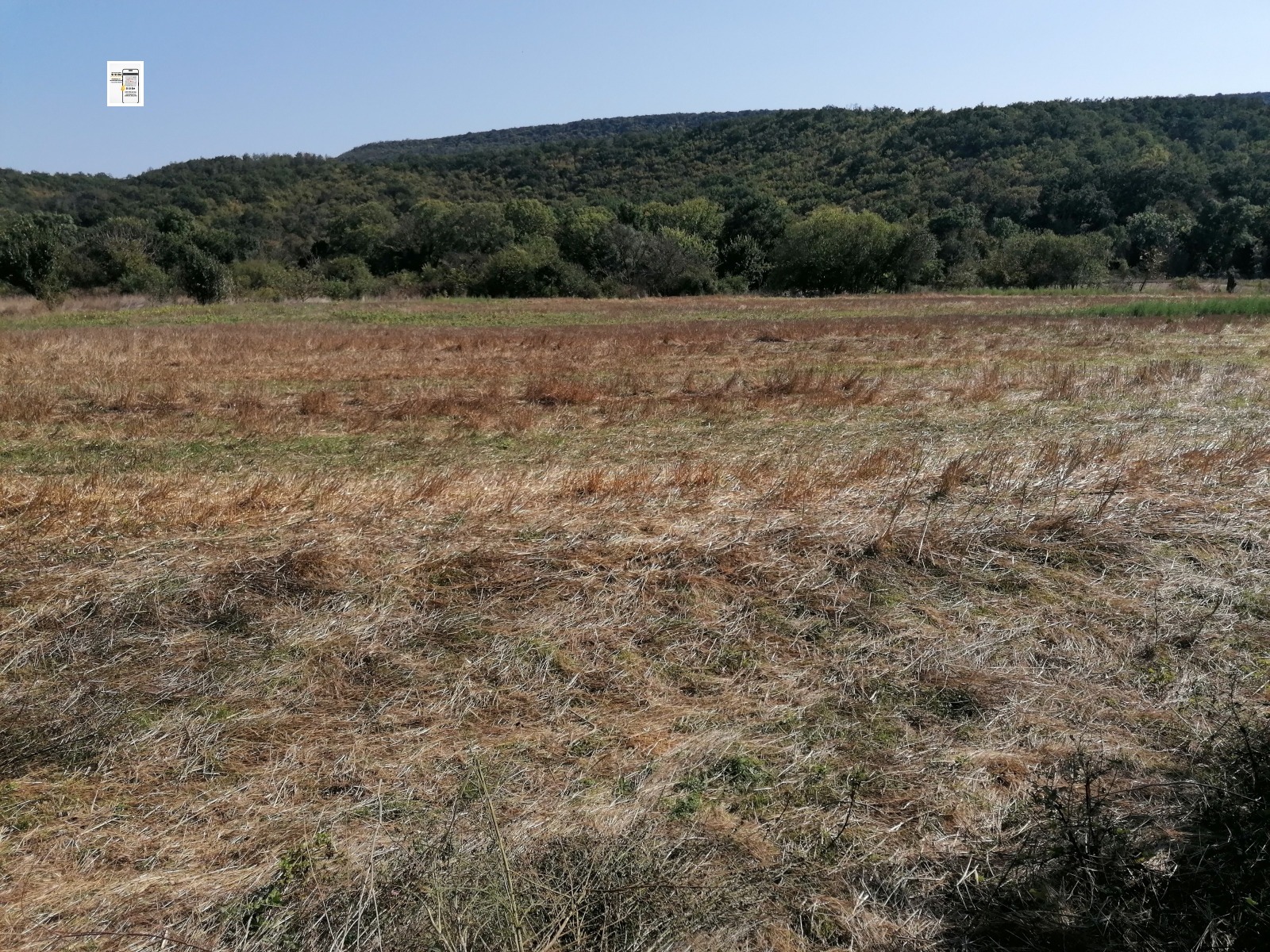 ������� ������ | Imot.bg � ����������� 8
