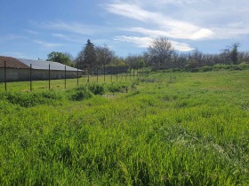 ����� ������� ������,�. ��������, ������ �����>