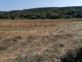 Продава ПАРЦЕЛ, с. Църква, област Добрич, снимка 8