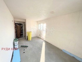 Studio Kolchozen pazar, Warna