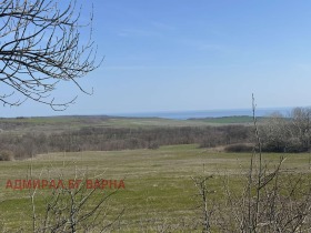 ����� ������� ���������� ����,��. ����, ������ �����