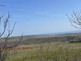 ����� ������� ���������� ����,��. ����, ������ �����