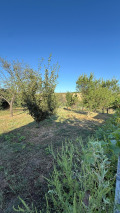 Продава ПАРЦЕЛ, с. Гривица, област Плевен, снимка 2