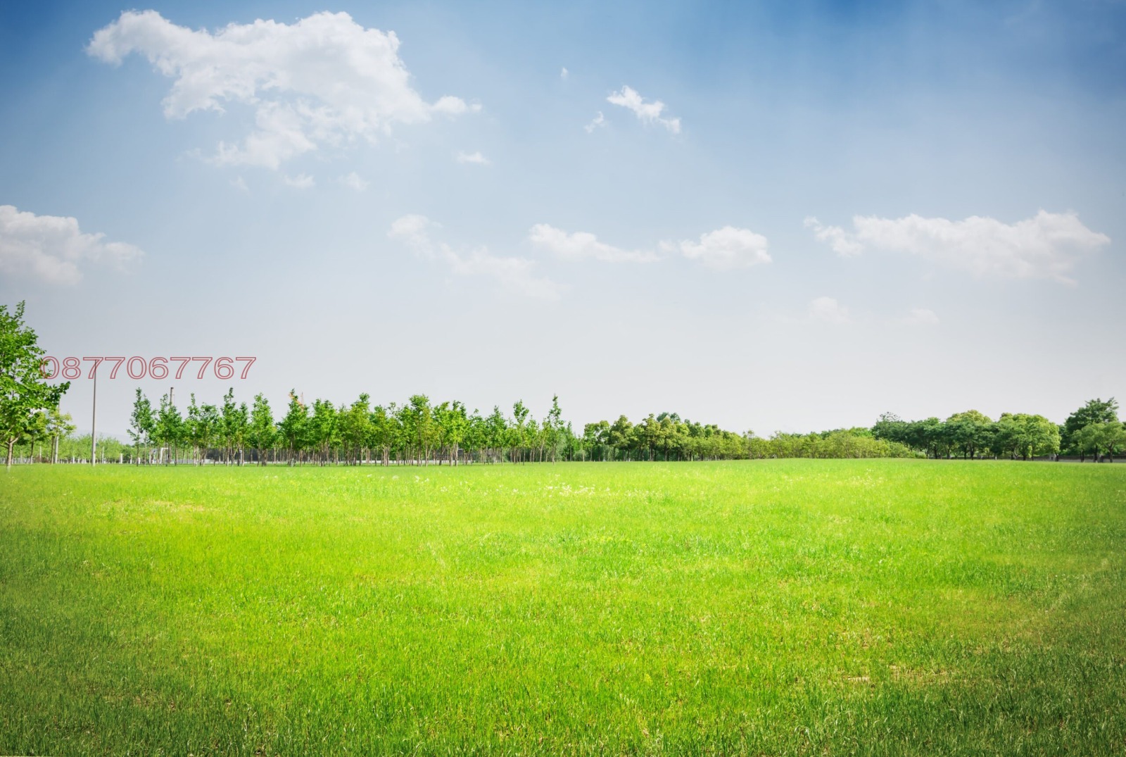 Продава ЗЕМЕДЕЛСКА ЗЕМЯ | Imot.bg — изображение 1