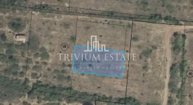 ����� ������� ������,�. �������, ������ �������