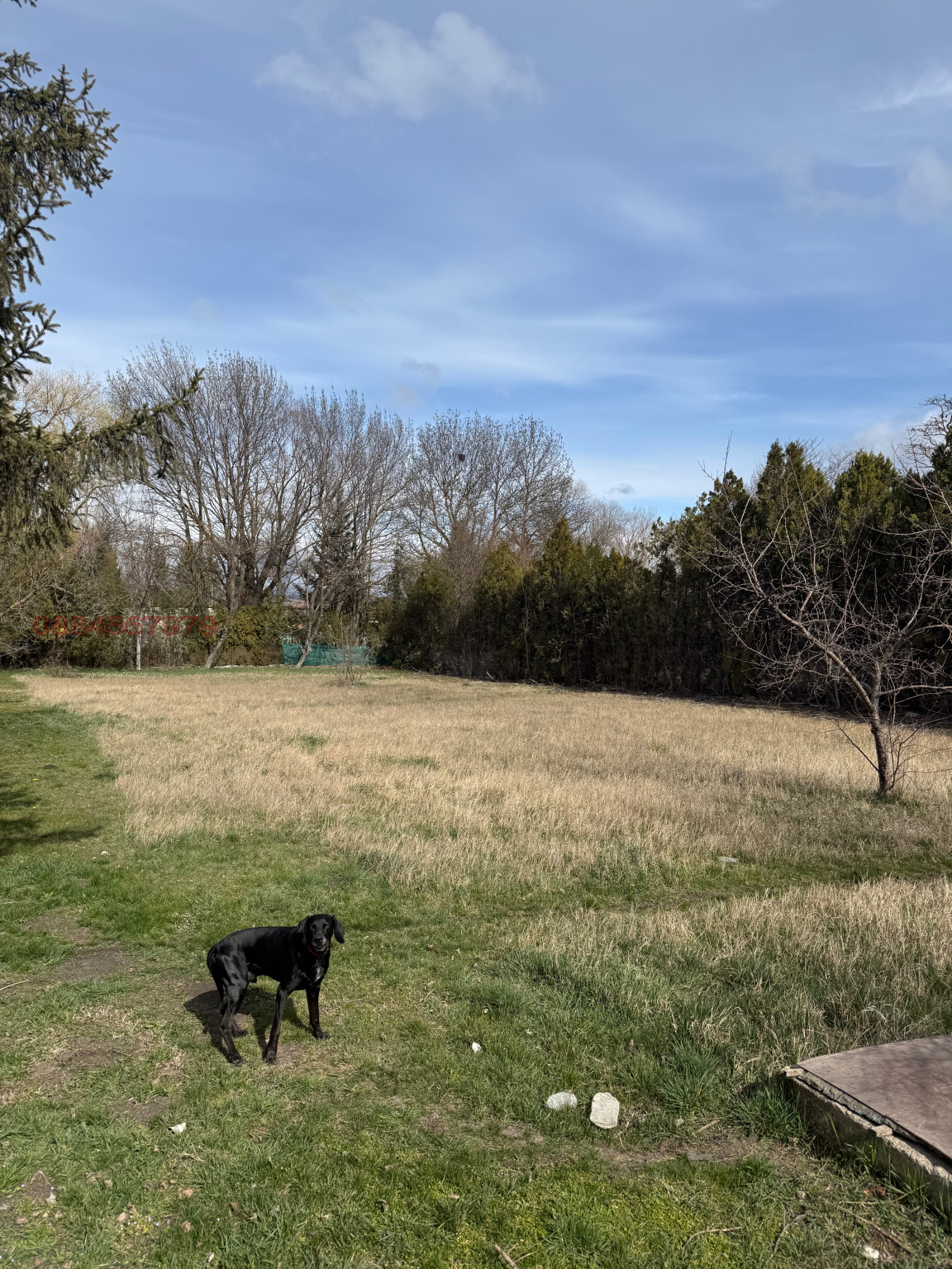 ������� ������ | Imot.bg � ����������� 6